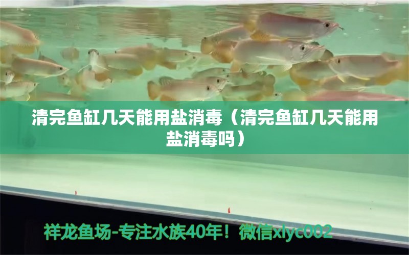 清完魚缸幾天能用鹽消毒（清完魚缸幾天能用鹽消毒嗎）