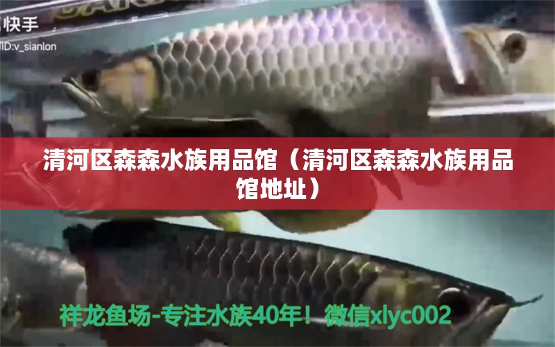 清河區(qū)森森水族用品館（清河區(qū)森森水族用品館地址） 水族用品