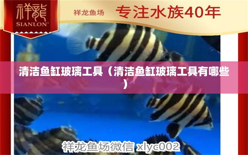 清潔魚缸玻璃工具（清潔魚缸玻璃工具有哪些）