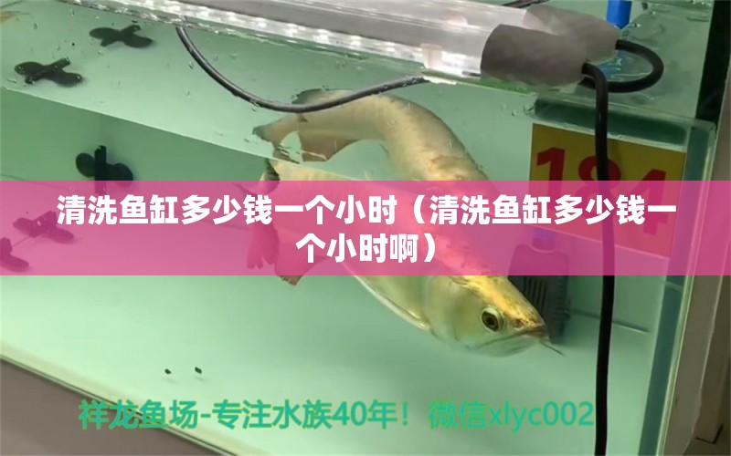 清洗魚缸多少錢一個小時（清洗魚缸多少錢一個小時?。? title=