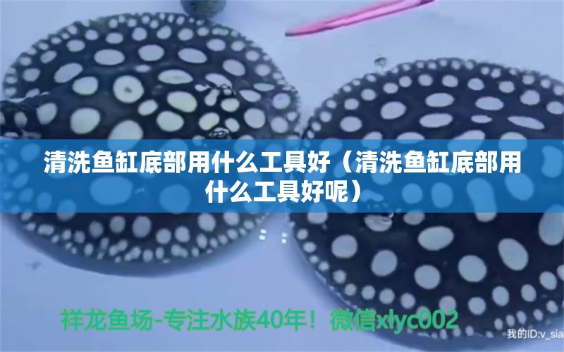 清洗魚缸底部用什么工具好（清洗魚缸底部用什么工具好呢）