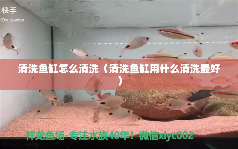 清洗魚缸怎么清洗（清洗魚缸用什么清洗最好）