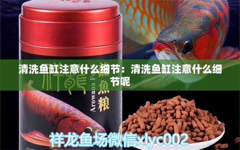 清洗魚缸注意什么細節(jié)：清洗魚缸注意什么細節(jié)呢