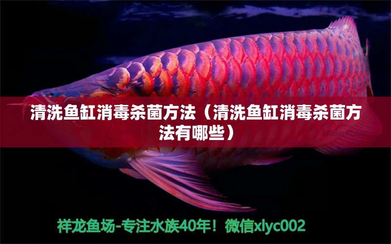 清洗魚缸消毒殺菌方法（清洗魚缸消毒殺菌方法有哪些） 祥龍水族醫(yī)院