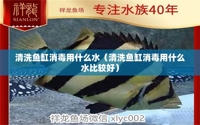 清洗魚(yú)缸消毒用什么水（清洗魚(yú)缸消毒用什么水比較好）