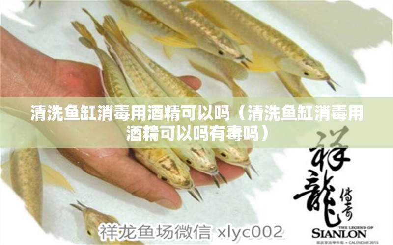 清洗魚缸消毒用酒精可以嗎（清洗魚缸消毒用酒精可以嗎有毒嗎）