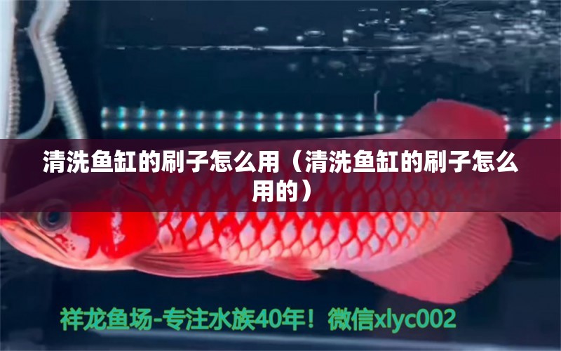 清洗魚缸的刷子怎么用（清洗魚缸的刷子怎么用的）