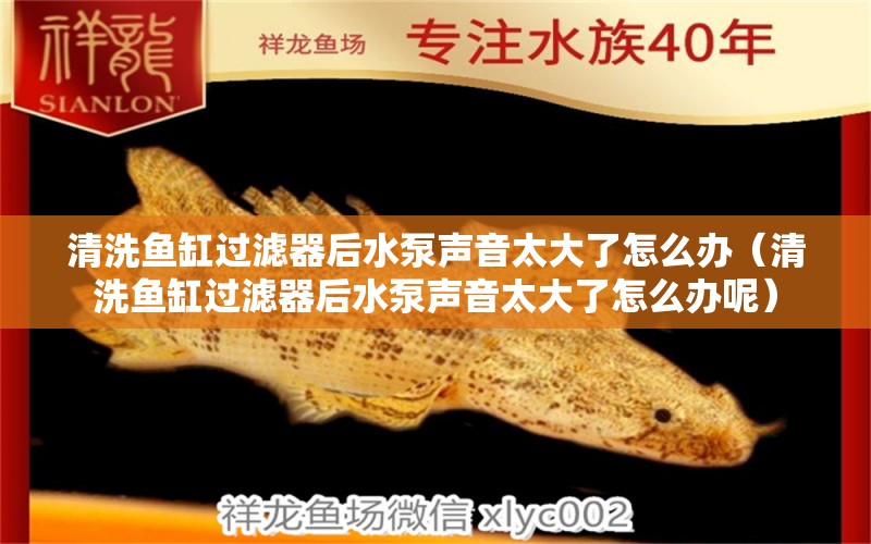 清洗魚(yú)缸過(guò)濾器后水泵聲音太大了怎么辦（清洗魚(yú)缸過(guò)濾器后水泵聲音太大了怎么辦呢）