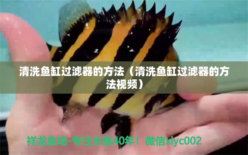 清洗魚缸過濾器的方法（清洗魚缸過濾器的方法視頻）