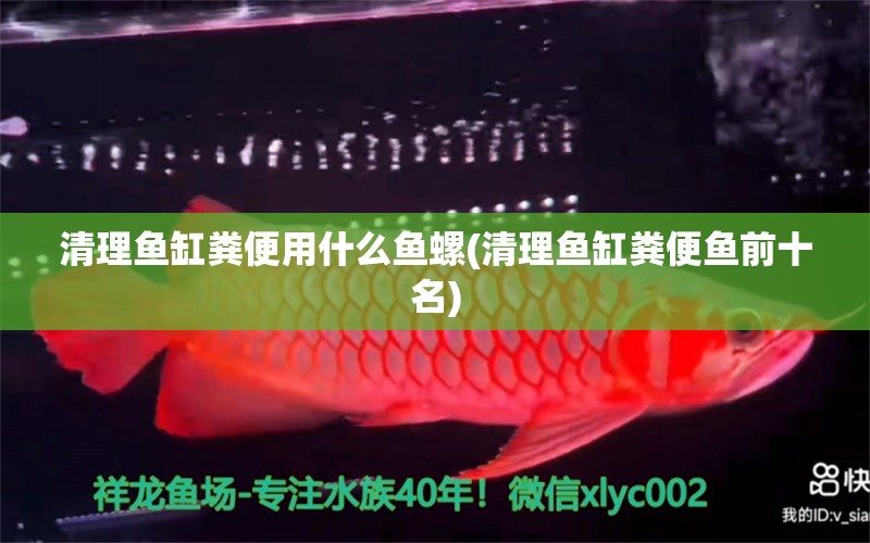 清理魚缸糞便用什么魚螺(清理魚缸糞便魚前十名)