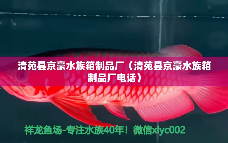 清苑縣京豪水族箱制品廠（清苑縣京豪水族箱制品廠電話） 魚缸/水族箱