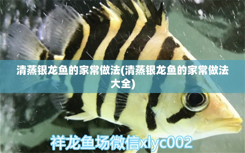 清蒸銀龍魚的家常做法(清蒸銀龍魚的家常做法大全) 銀龍魚百科 第1張