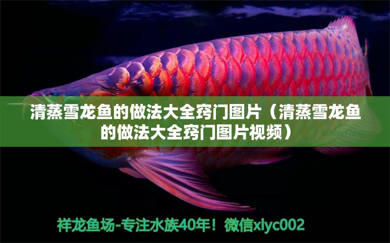 清蒸雪龍魚(yú)的做法大全竅門(mén)圖片（清蒸雪龍魚(yú)的做法大全竅門(mén)圖片視頻）