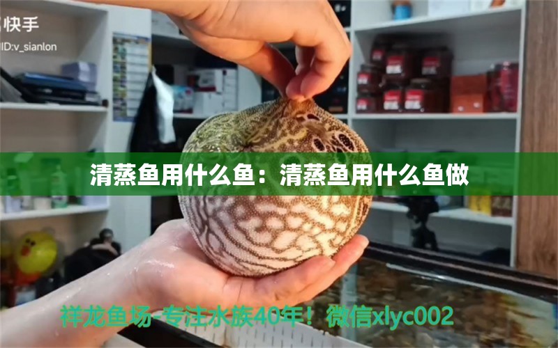 清蒸魚用什么魚：清蒸魚用什么魚做