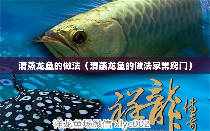 清蒸龍魚的做法（清蒸龍魚的做法家常竅門） 恐龍王魚