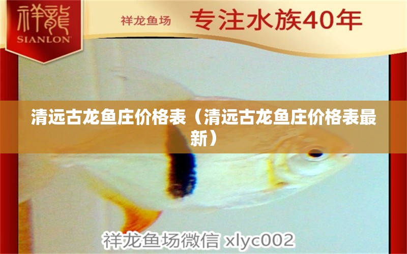 清遠(yuǎn)古龍魚(yú)莊價(jià)格表（清遠(yuǎn)古龍魚(yú)莊價(jià)格表最新）