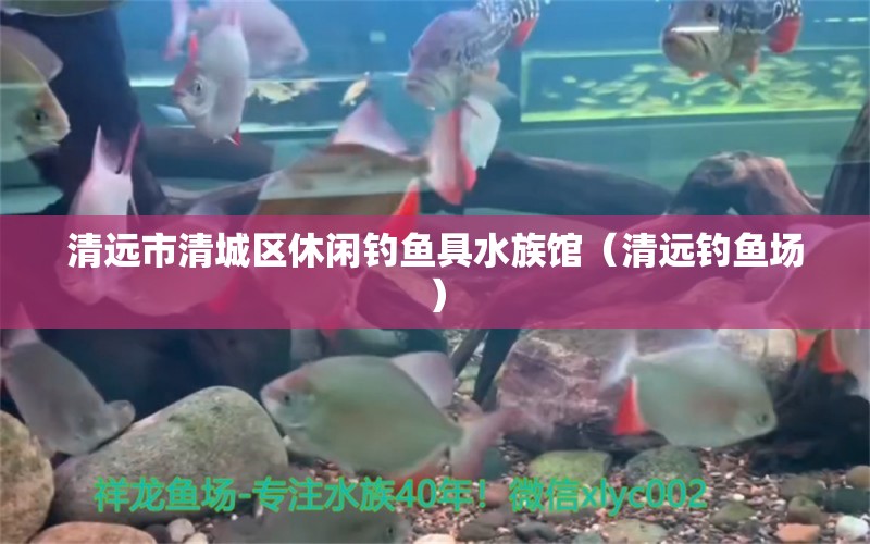 清遠(yuǎn)市清城區(qū)休閑釣魚具水族館（清遠(yuǎn)釣魚場）