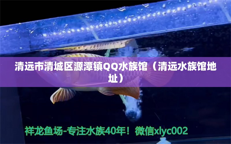 清遠(yuǎn)市清城區(qū)源潭鎮(zhèn)QQ水族館（清遠(yuǎn)水族館地址）