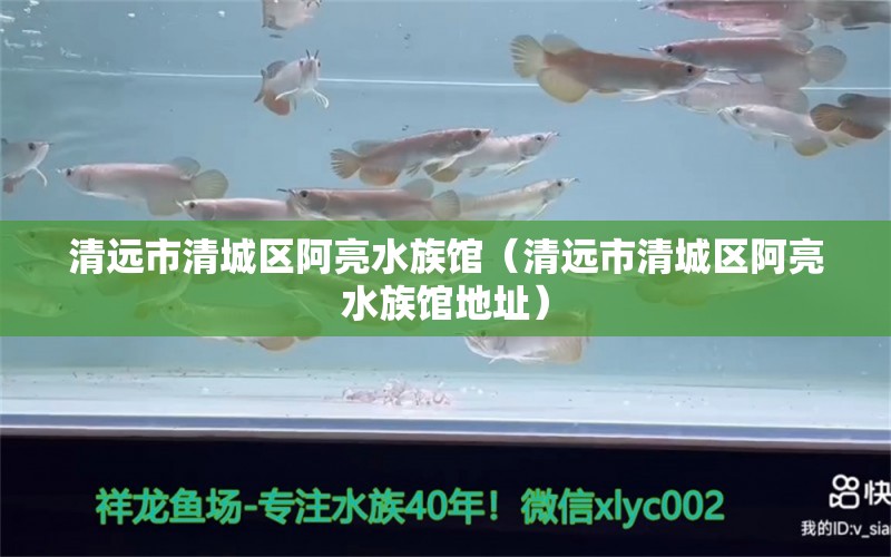 清遠(yuǎn)市清城區(qū)阿亮水族館（清遠(yuǎn)市清城區(qū)阿亮水族館地址）