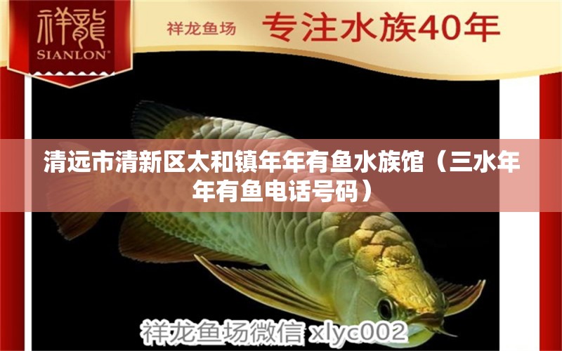 清遠(yuǎn)市清新區(qū)太和鎮(zhèn)年年有魚水族館（三水年年有魚電話號(hào)碼）