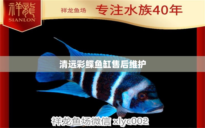 清遠彩鰈魚缸售后維護