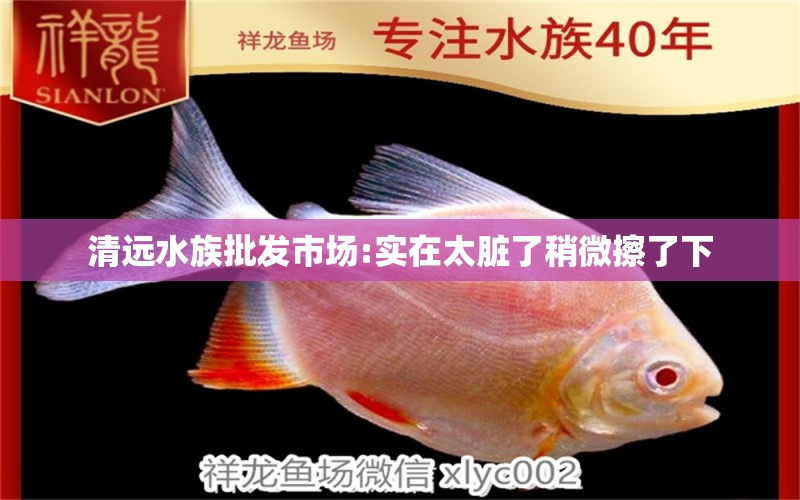 清遠(yuǎn)水族批發(fā)市場:實(shí)在太臟了稍微擦了下 觀賞魚水族批發(fā)市場