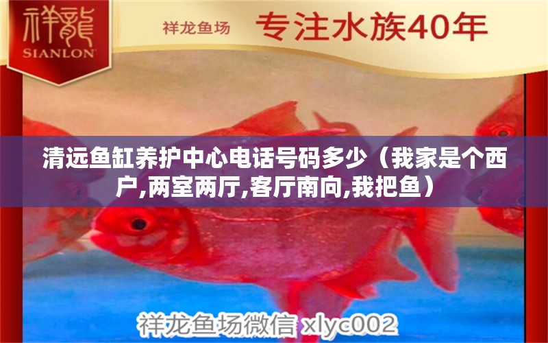 清遠(yuǎn)魚缸養(yǎng)護(hù)中心電話號(hào)碼多少（我家是個(gè)西戶,兩室兩廳,客廳南向,我把魚） 狗狗（犬） 第2張