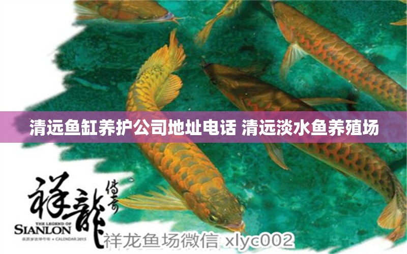 清遠(yuǎn)魚缸養(yǎng)護(hù)公司地址電話 清遠(yuǎn)淡水魚養(yǎng)殖場