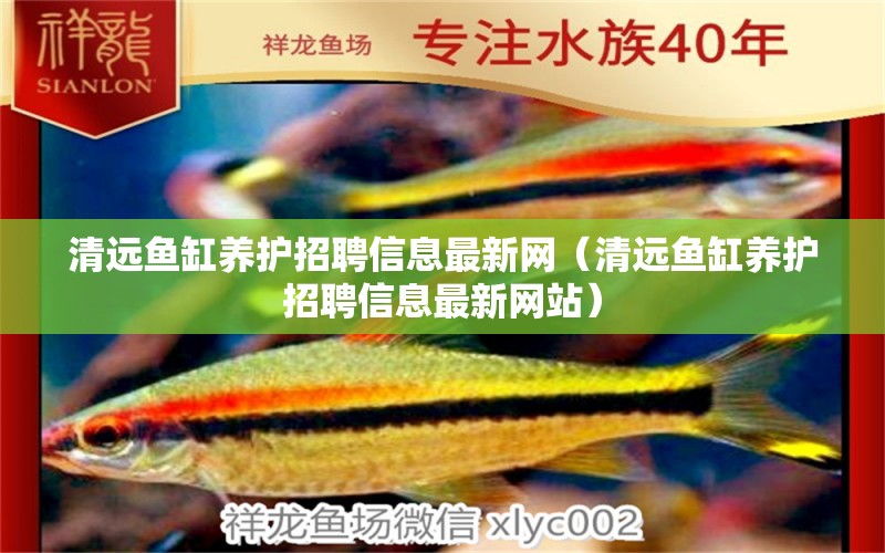 清遠魚缸養(yǎng)護招聘信息最新網(wǎng)（清遠魚缸養(yǎng)護招聘信息最新網(wǎng)站）