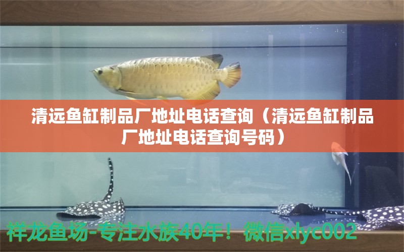 清遠(yuǎn)魚缸制品廠地址電話查詢（清遠(yuǎn)魚缸制品廠地址電話查詢號(hào)碼）