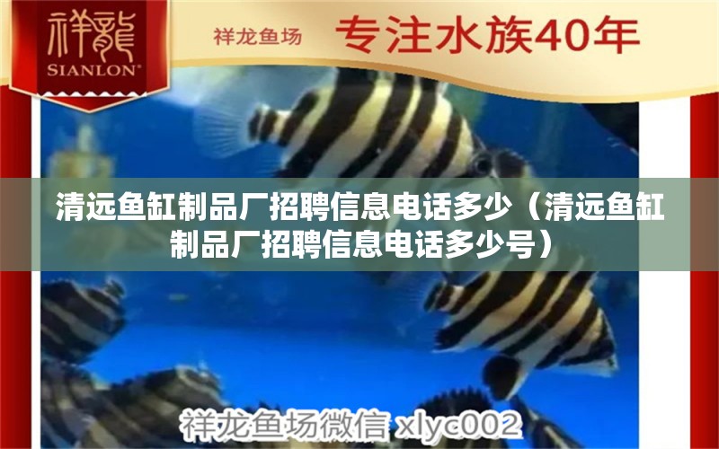 清遠(yuǎn)魚缸制品廠招聘信息電話多少（清遠(yuǎn)魚缸制品廠招聘信息電話多少號(hào)）