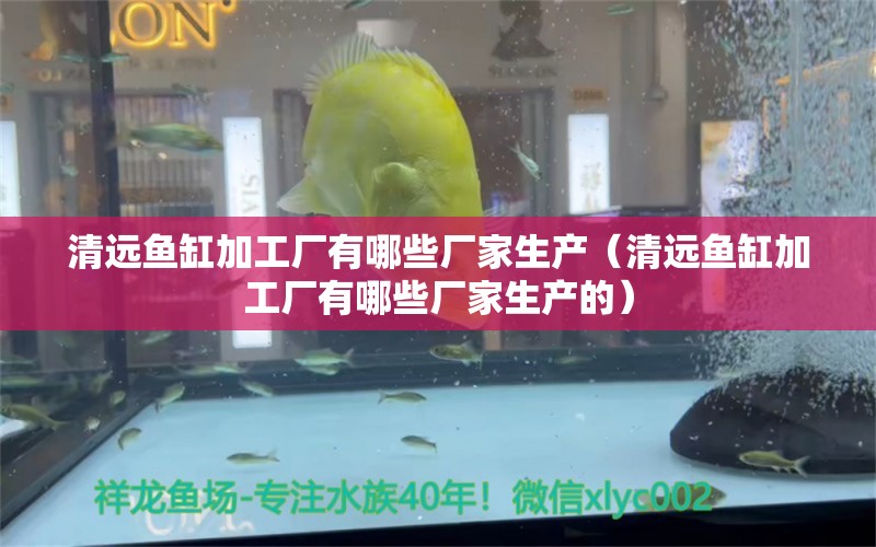 清遠(yuǎn)魚缸加工廠有哪些廠家生產(chǎn)（清遠(yuǎn)魚缸加工廠有哪些廠家生產(chǎn)的） 觀賞魚市場（混養(yǎng)魚）