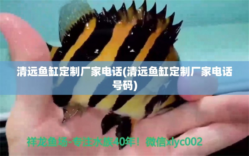 清遠(yuǎn)魚缸定制廠家電話(清遠(yuǎn)魚缸定制廠家電話號碼) 雙線側(cè)魚