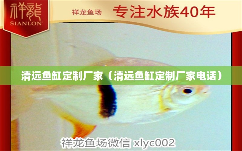 清遠(yuǎn)魚缸定制廠家（清遠(yuǎn)魚缸定制廠家電話）