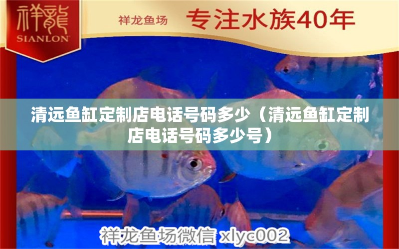 清遠(yuǎn)魚缸定制店電話號(hào)碼多少（清遠(yuǎn)魚缸定制店電話號(hào)碼多少號(hào)）