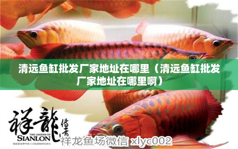 清遠(yuǎn)魚缸批發(fā)廠家地址在哪里（清遠(yuǎn)魚缸批發(fā)廠家地址在哪里?。?量子養(yǎng)魚技術(shù)