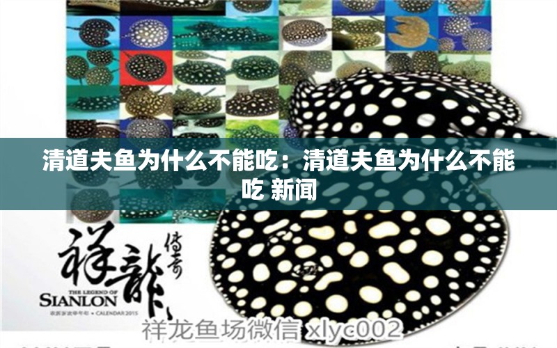 清道夫魚(yú)為什么不能吃：清道夫魚(yú)為什么不能吃 新聞