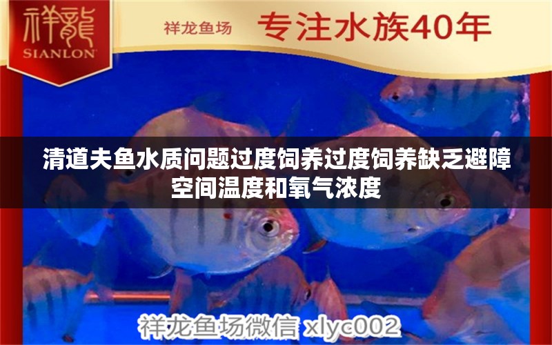 清道夫魚水質(zhì)問題過度飼養(yǎng)過度飼養(yǎng)缺乏避障空間溫度和氧氣濃度 撒旦鴨嘴魚