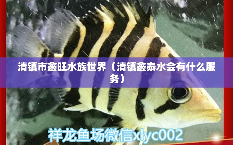 清鎮(zhèn)市鑫旺水族世界（清鎮(zhèn)鑫泰水會(huì)有什么服務(wù)）