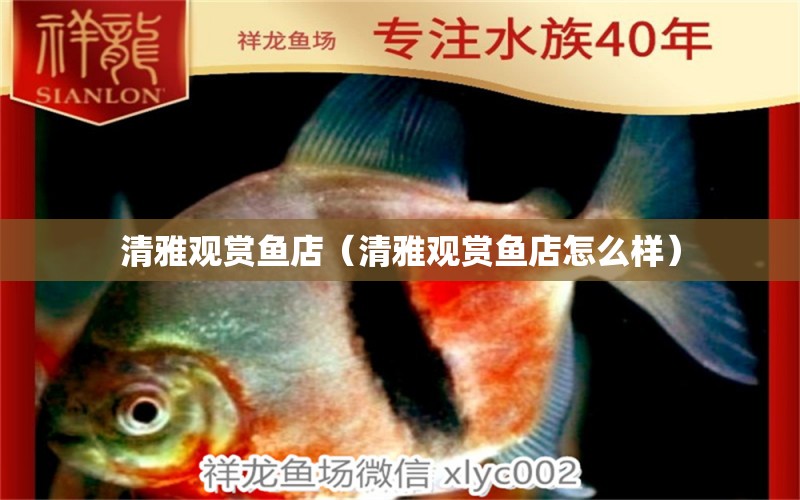 清雅觀賞魚店（清雅觀賞魚店怎么樣）