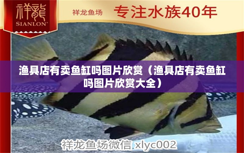 漁具店有賣魚缸嗎圖片欣賞（漁具店有賣魚缸嗎圖片欣賞大全） 其他品牌魚缸