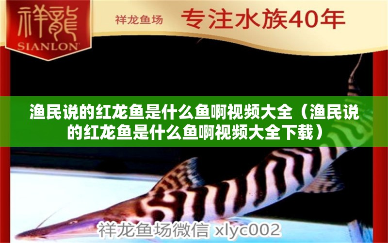 漁民說的紅龍魚是什么魚啊視頻大全（漁民說的紅龍魚是什么魚啊視頻大全下載）