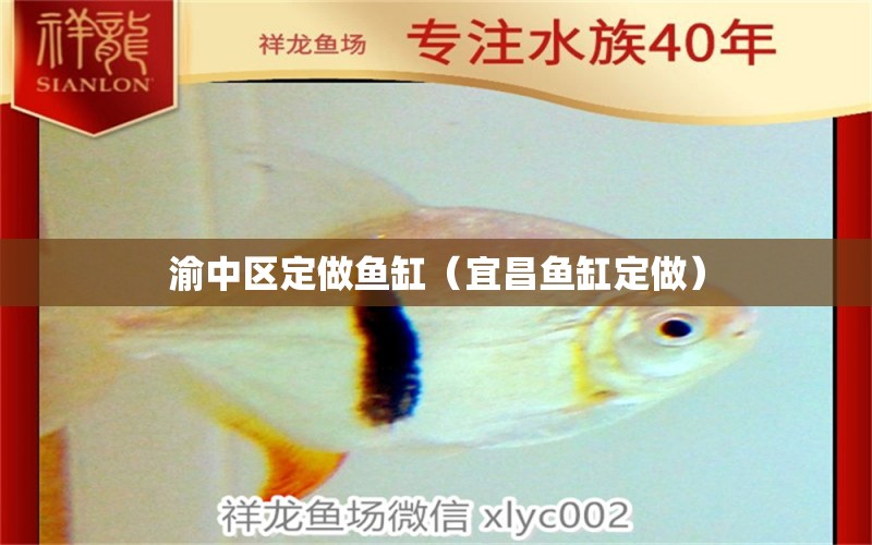 渝中區(qū)定做魚缸（宜昌魚缸定做）