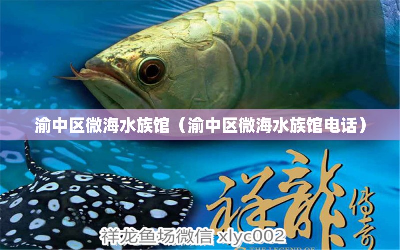 渝中區(qū)微海水族館（渝中區(qū)微海水族館電話）