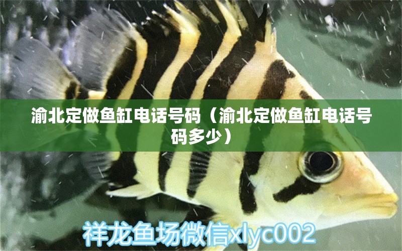 渝北定做魚缸電話號碼（渝北定做魚缸電話號碼多少）