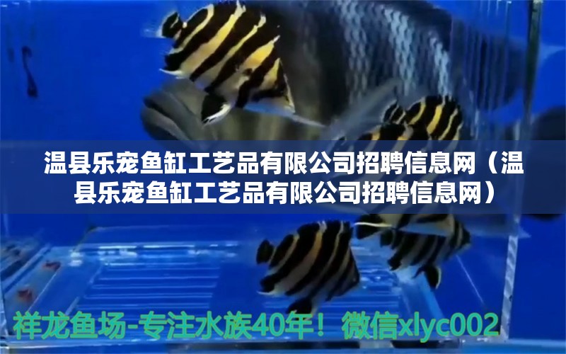 溫縣樂寵魚缸工藝品有限公司招聘信息網(wǎng)（溫縣樂寵魚缸工藝品有限公司招聘信息網(wǎng)） 祥龍水族醫(yī)院