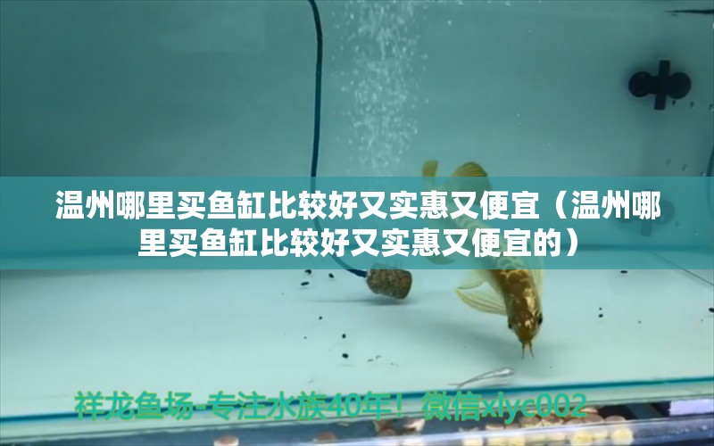 溫州哪里買魚缸比較好又實惠又便宜（溫州哪里買魚缸比較好又實惠又便宜的）