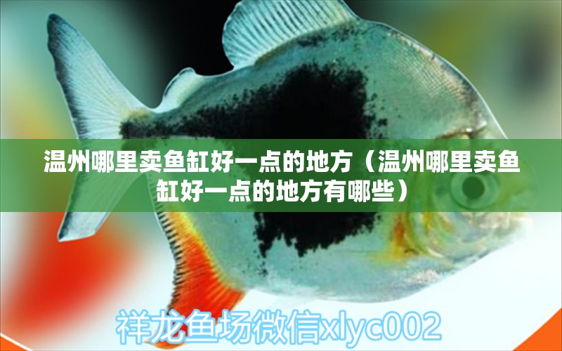 溫州哪里賣魚缸好一點(diǎn)的地方（溫州哪里賣魚缸好一點(diǎn)的地方有哪些） 觀賞魚市場(chǎng)（混養(yǎng)魚）