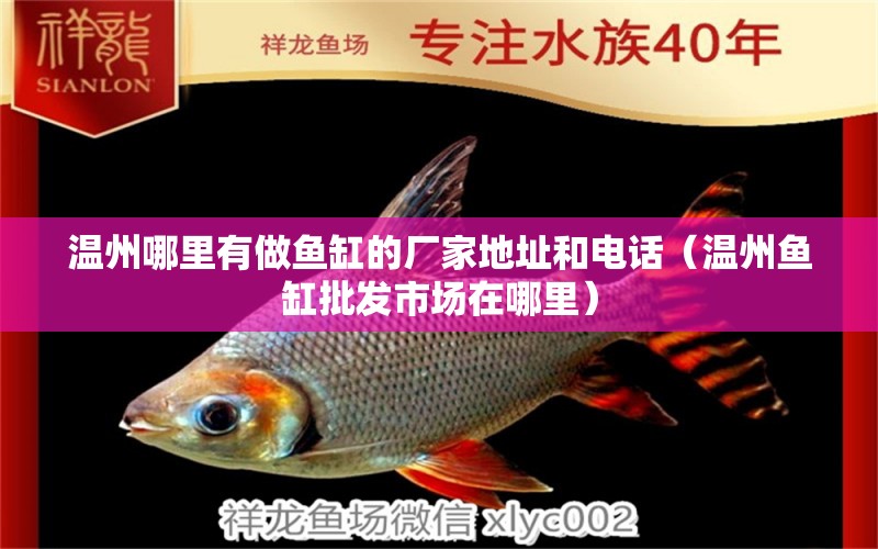 溫州哪里有做魚(yú)缸的廠(chǎng)家地址和電話(huà)（溫州魚(yú)缸批發(fā)市場(chǎng)在哪里）