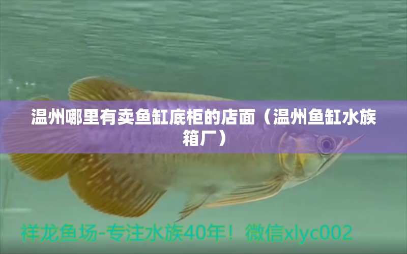 溫州哪里有賣魚缸底柜的店面（溫州魚缸水族箱廠） 赤荔鳳冠魚 第1張